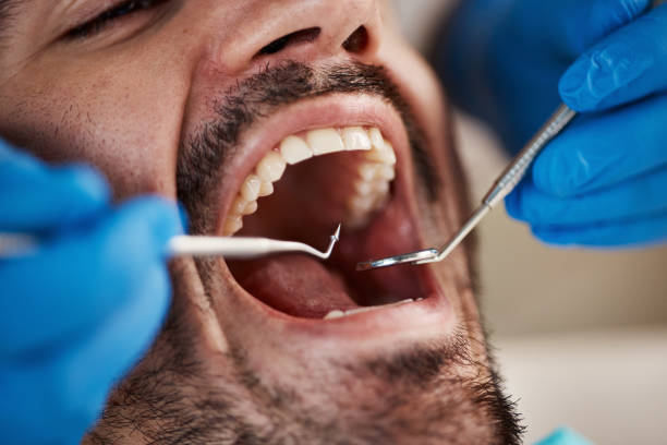 Best After-Hours Emergency Dentist in West Mayfield, PA